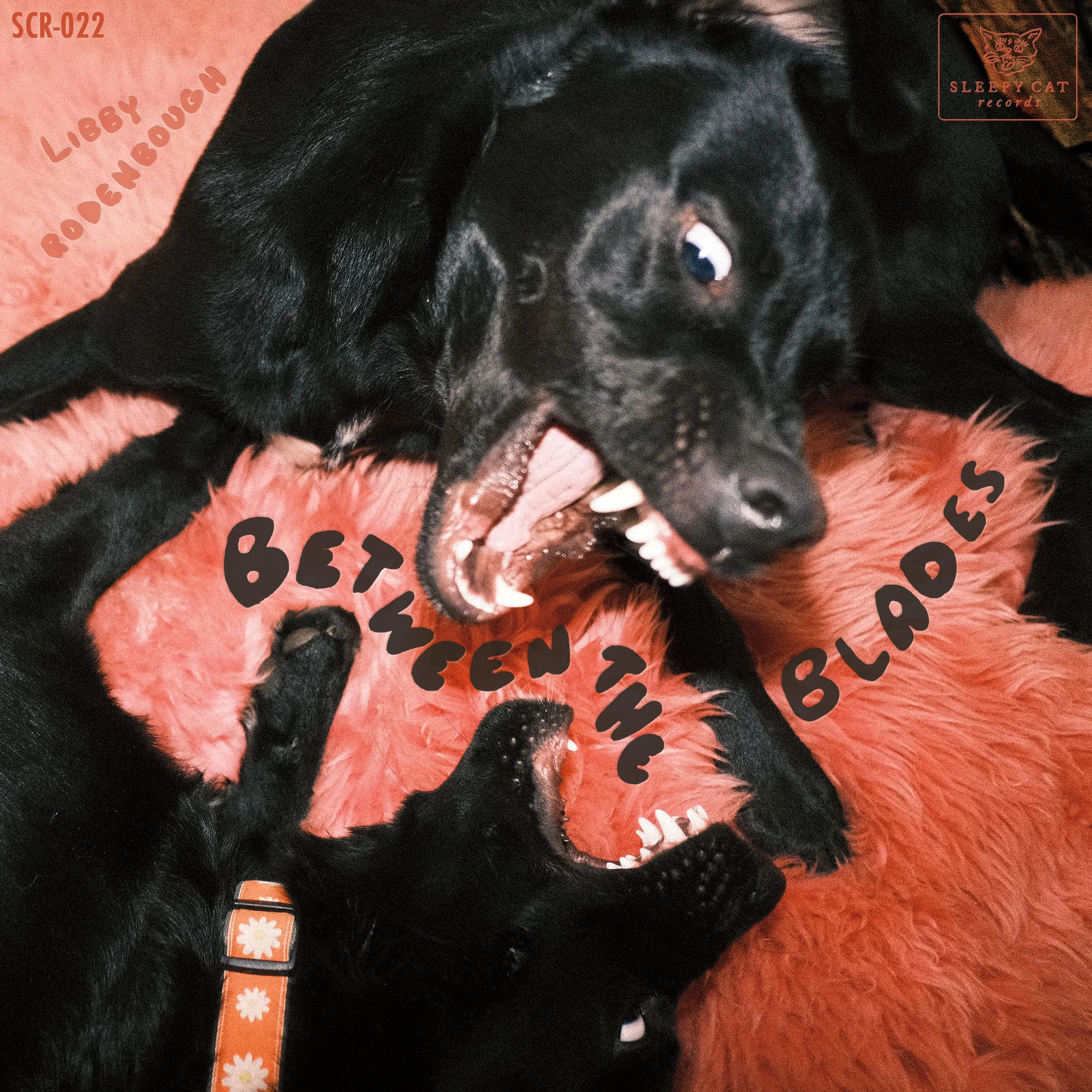 SCR-022 Between the Blades — Sleepy Cat Records